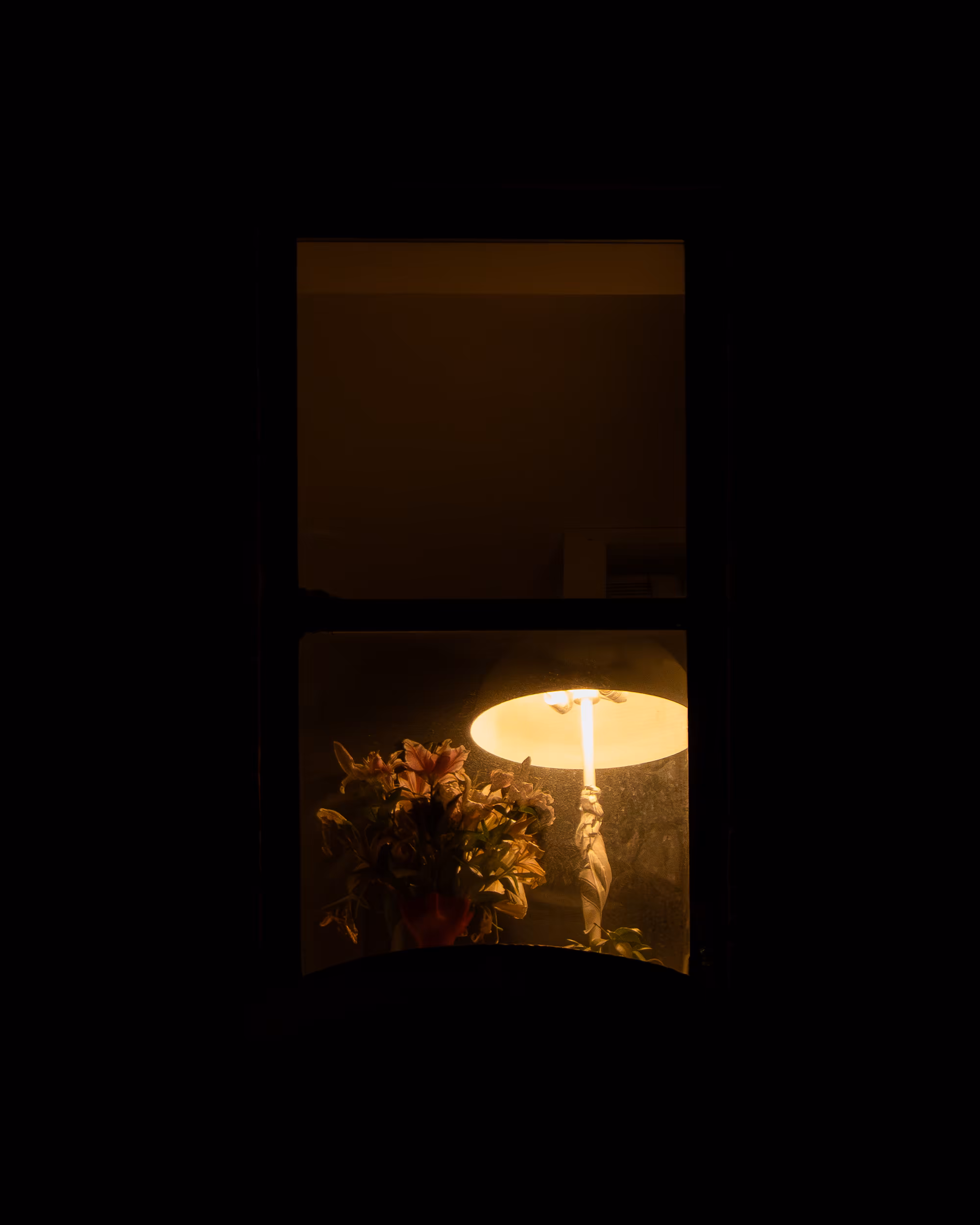WINDOWS // NYC: WINDOW 654