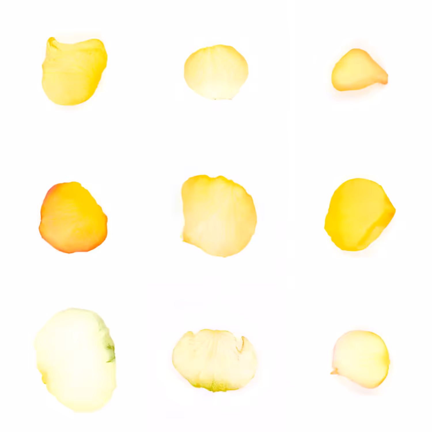 Infinite Petals 3x3#3154