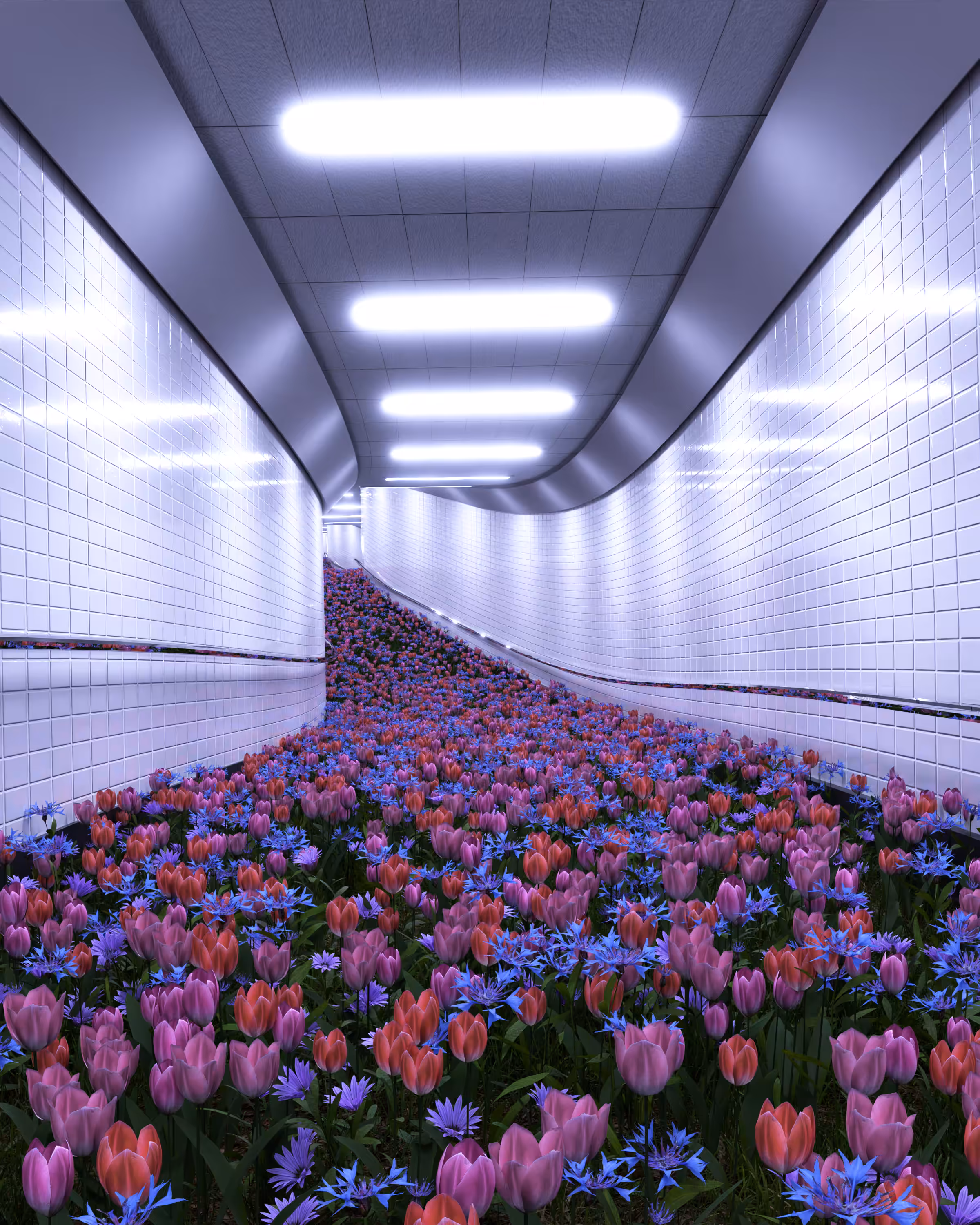 Tulip Tunnels