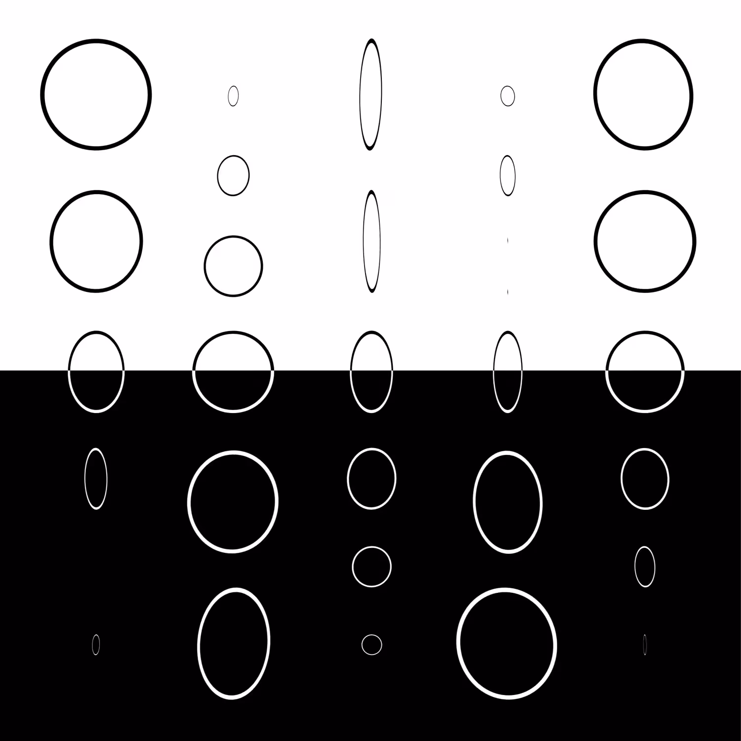 50/50 #010