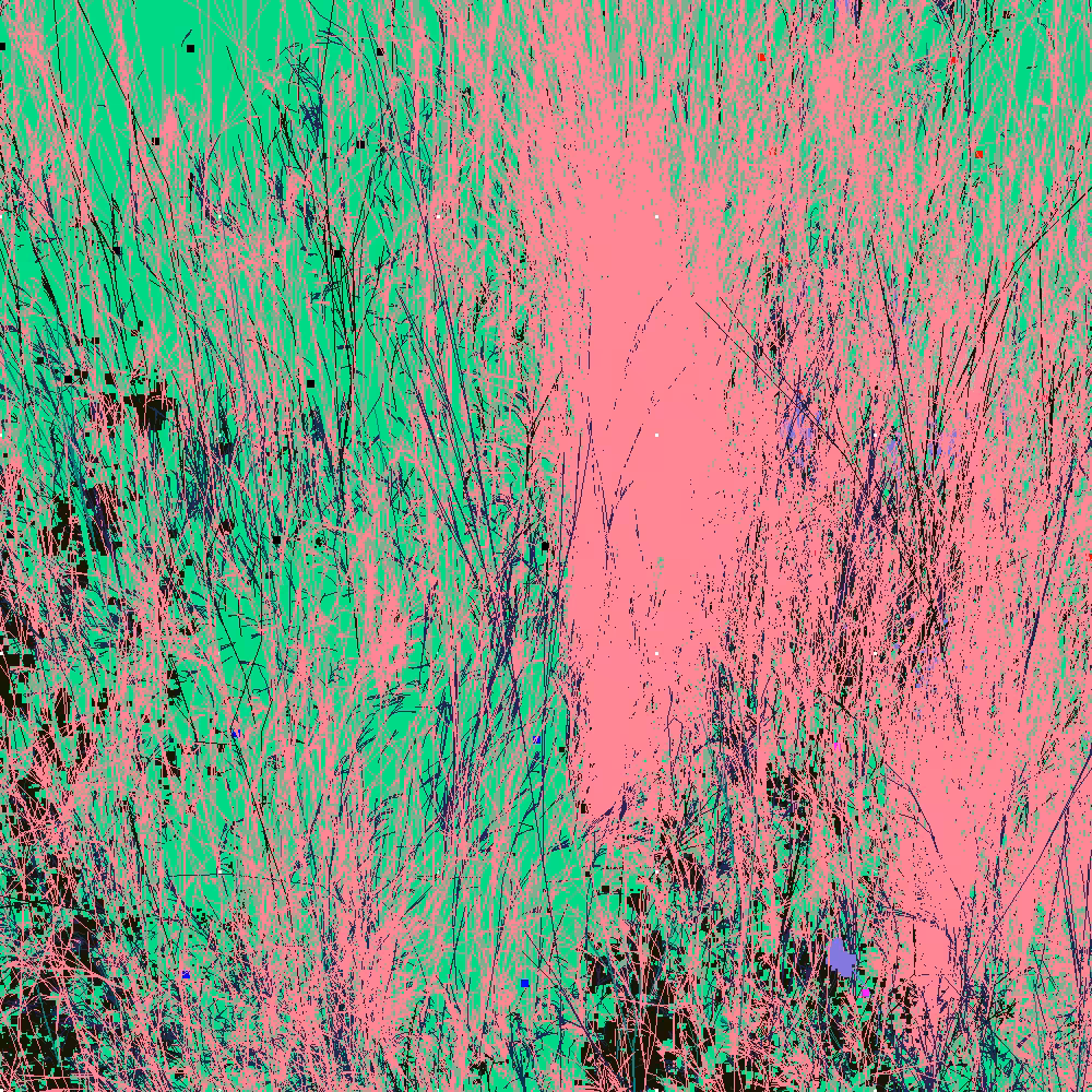 Infinite Garden: 59479 Flowers