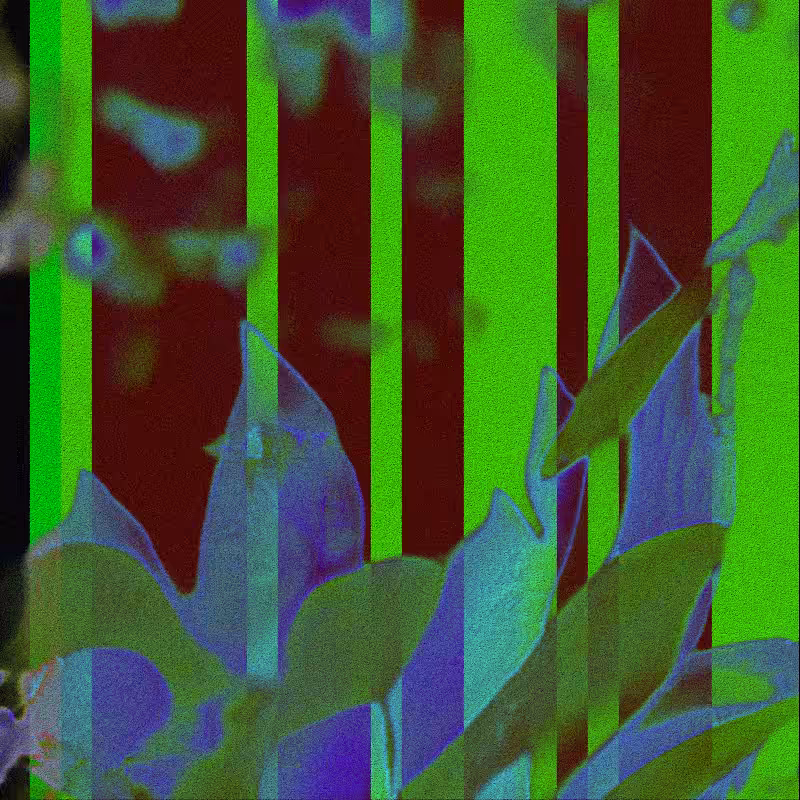 CLDCSMC #20