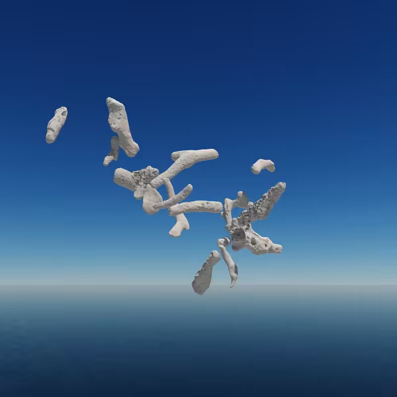 Bone Work (Gulf of Mexico) 2022 #37