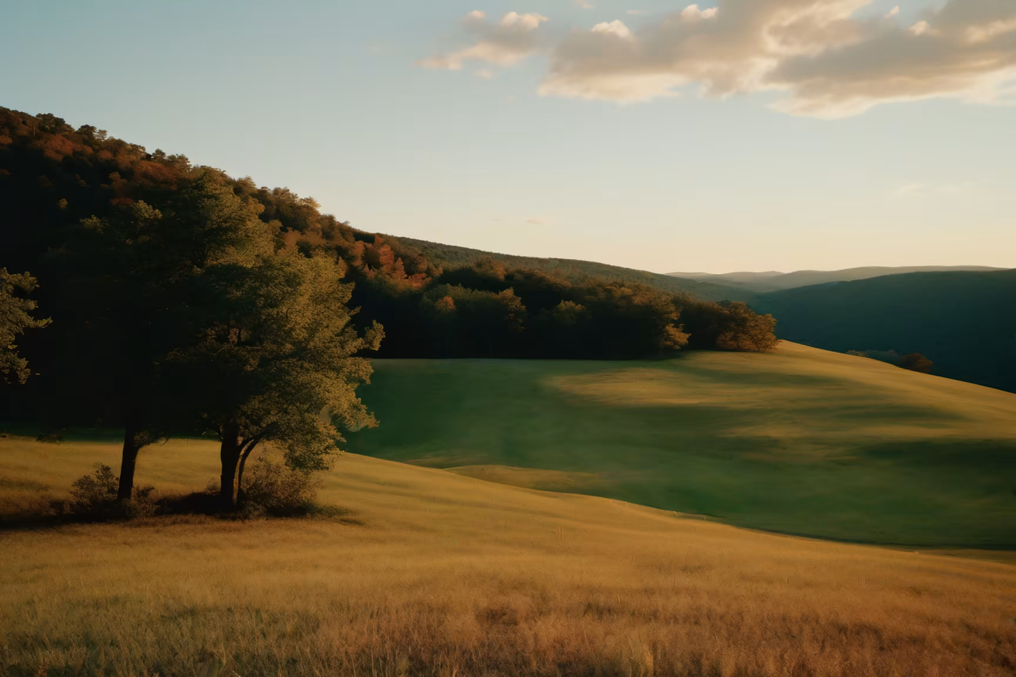 Lonely Landscapes #66