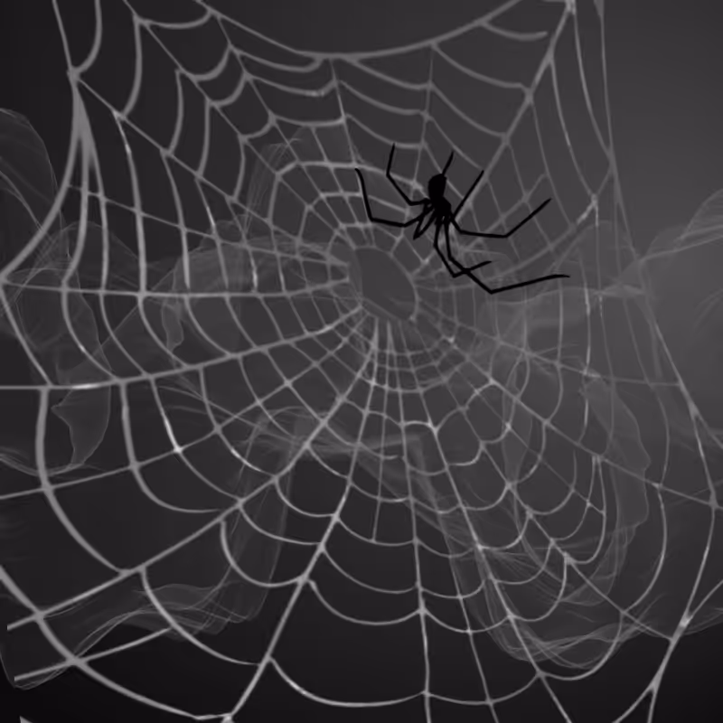 Black Spider #6
