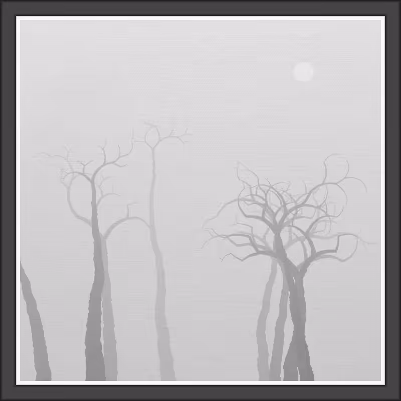 The Foggy Trees #143
