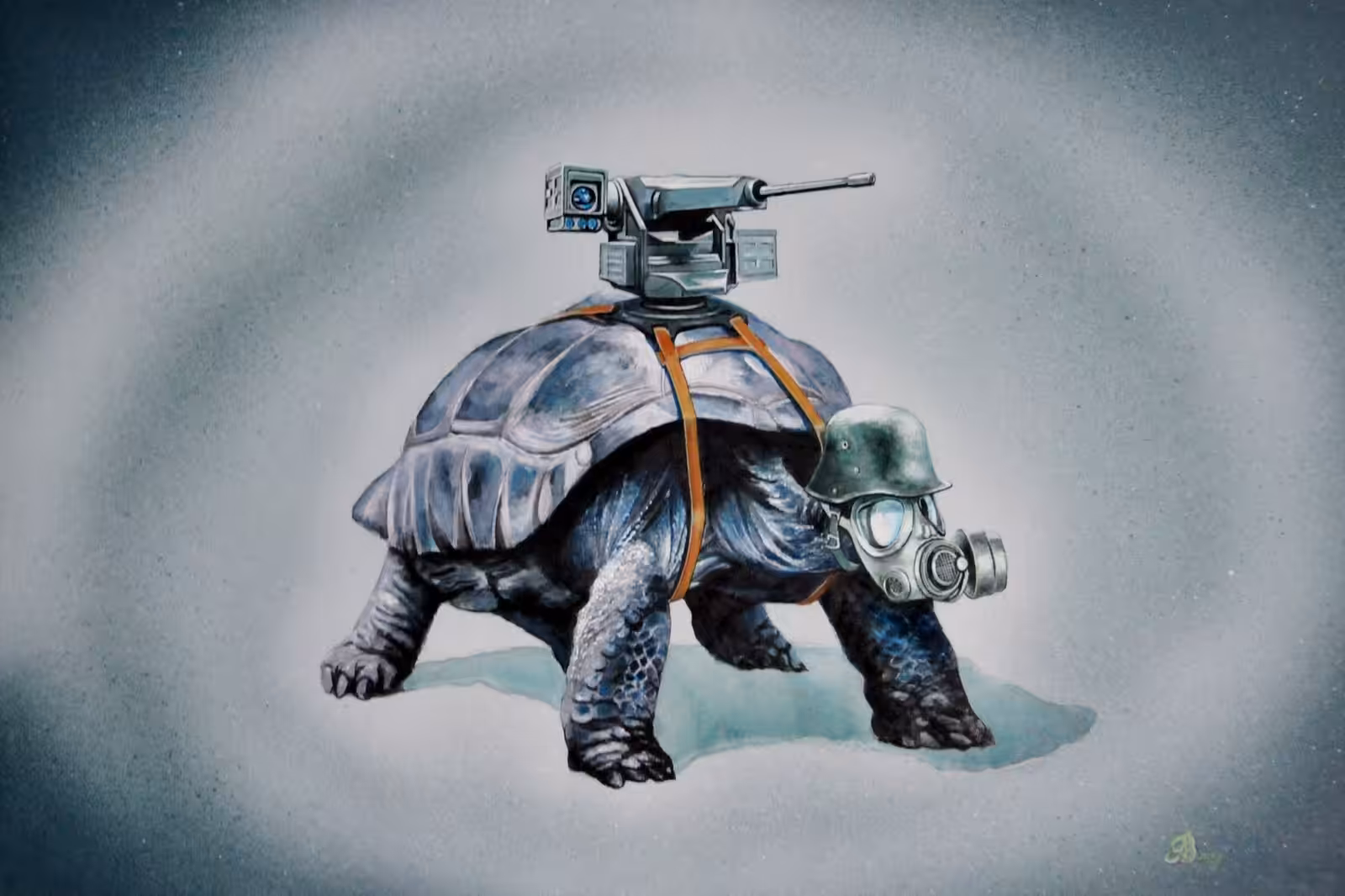 Tank the Turtle