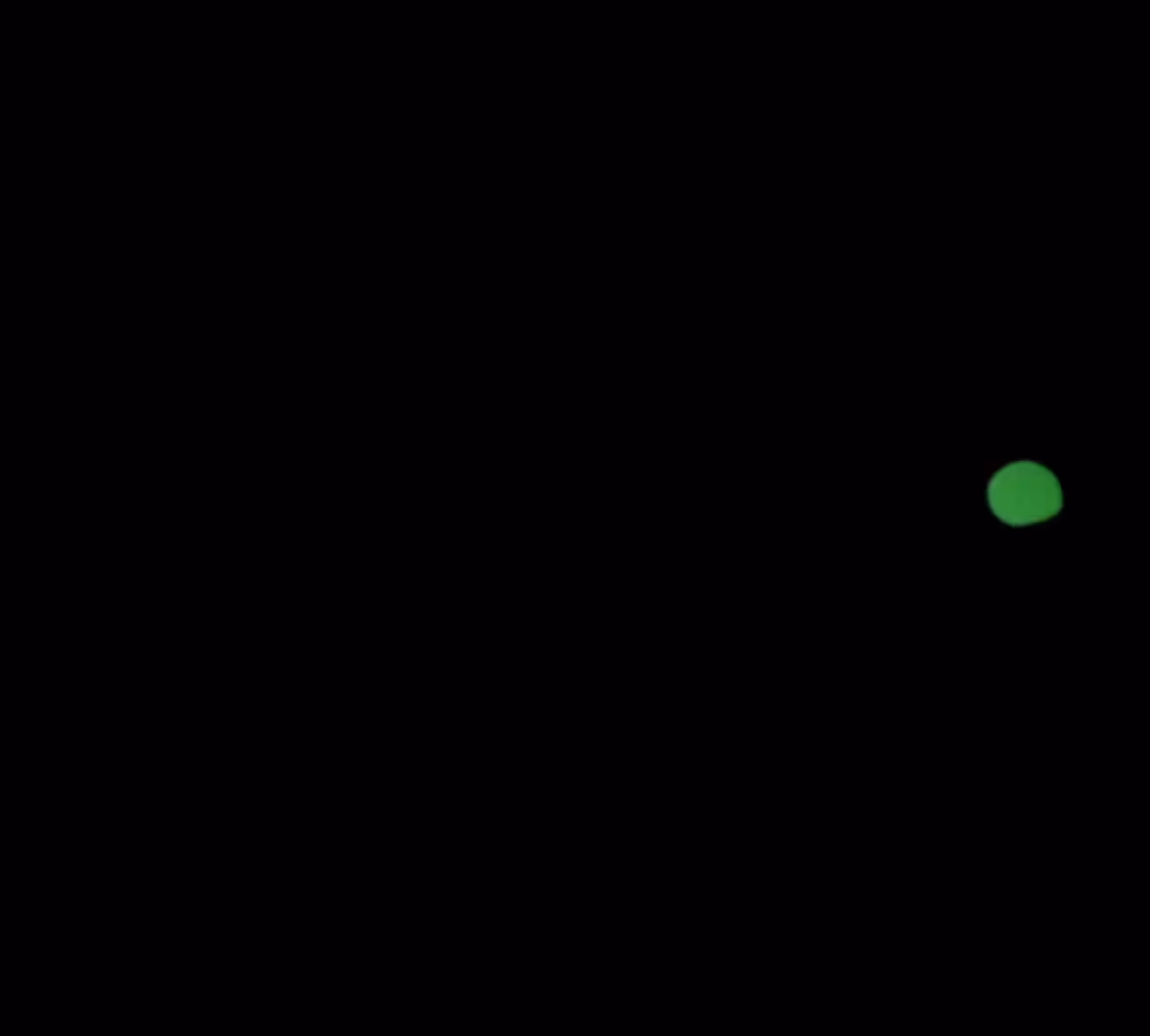 JAS 16.9.4.6.42 44.13055 -70.69694 (Flower)