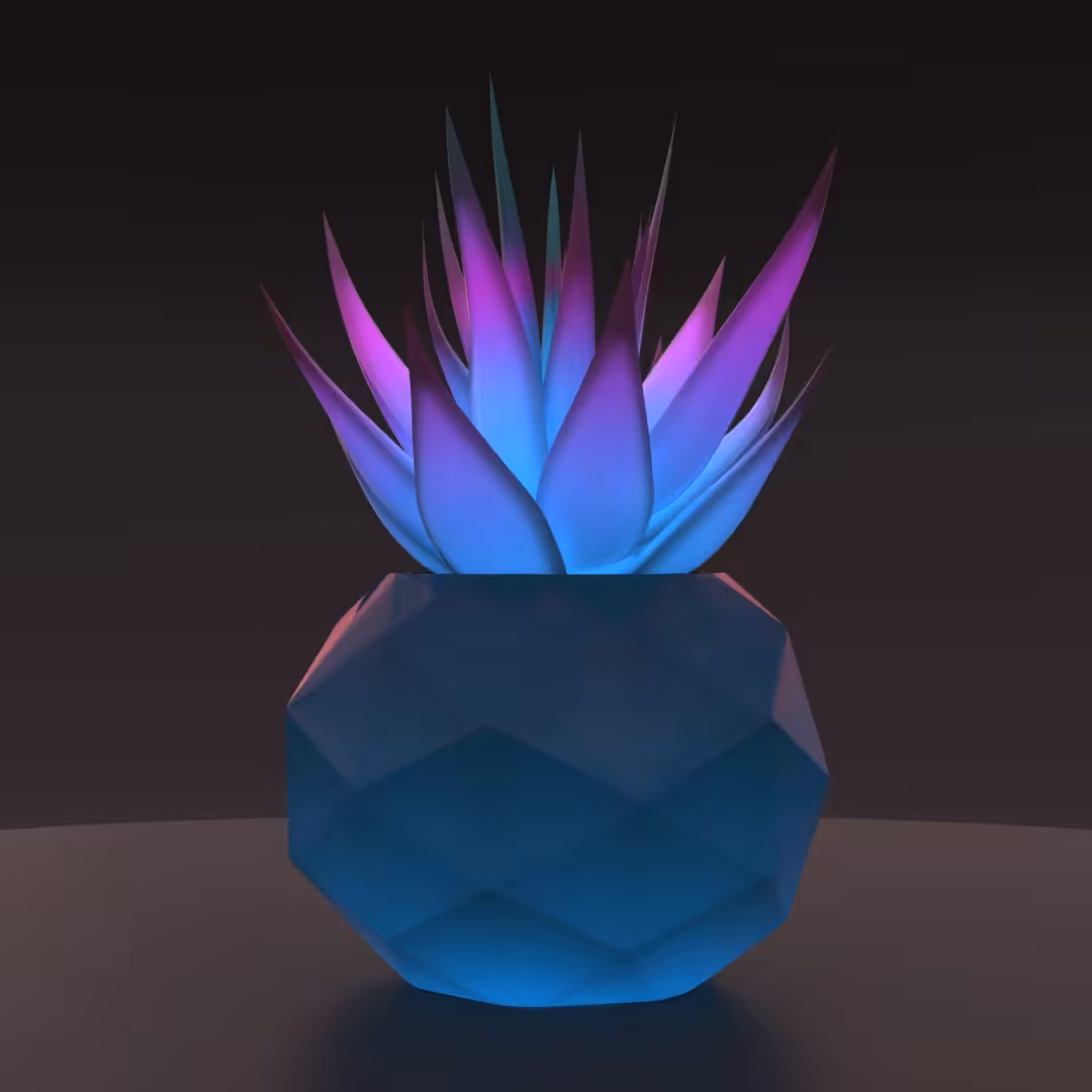 Succulent