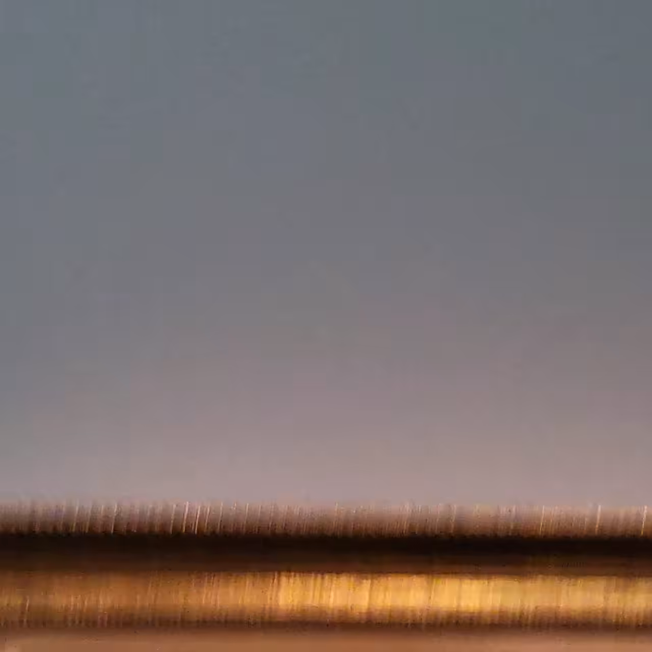 Reprogramming Monet, Jan 2022 in Milan