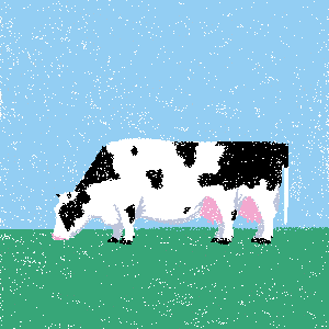 cow #101