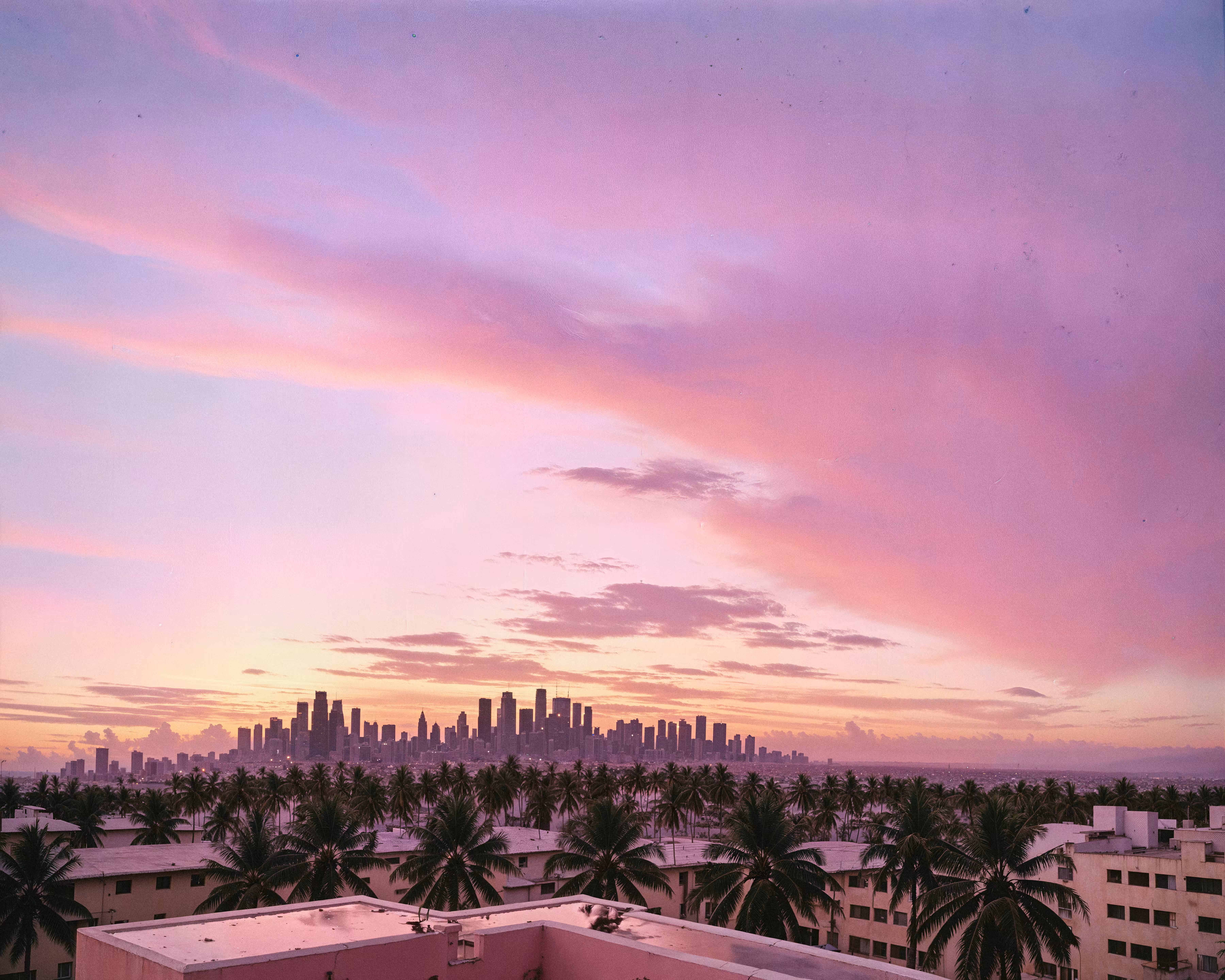 The Purple Sunset