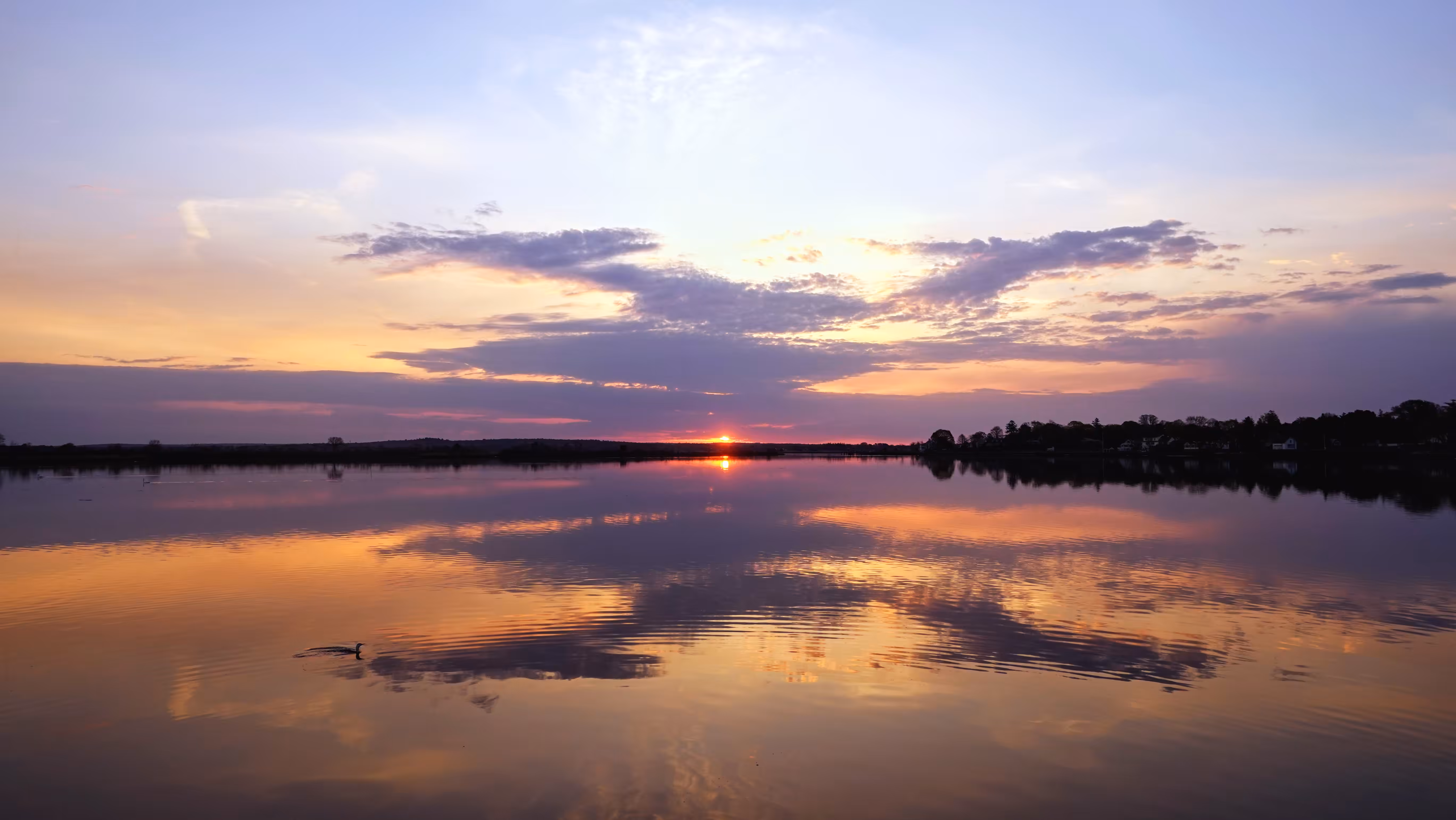 Morning Rorschach Reflection 