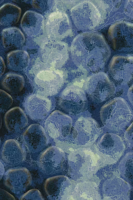 Vitreous #67