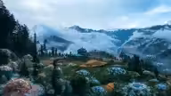 The Awakening: Fractal Hives in Himachal