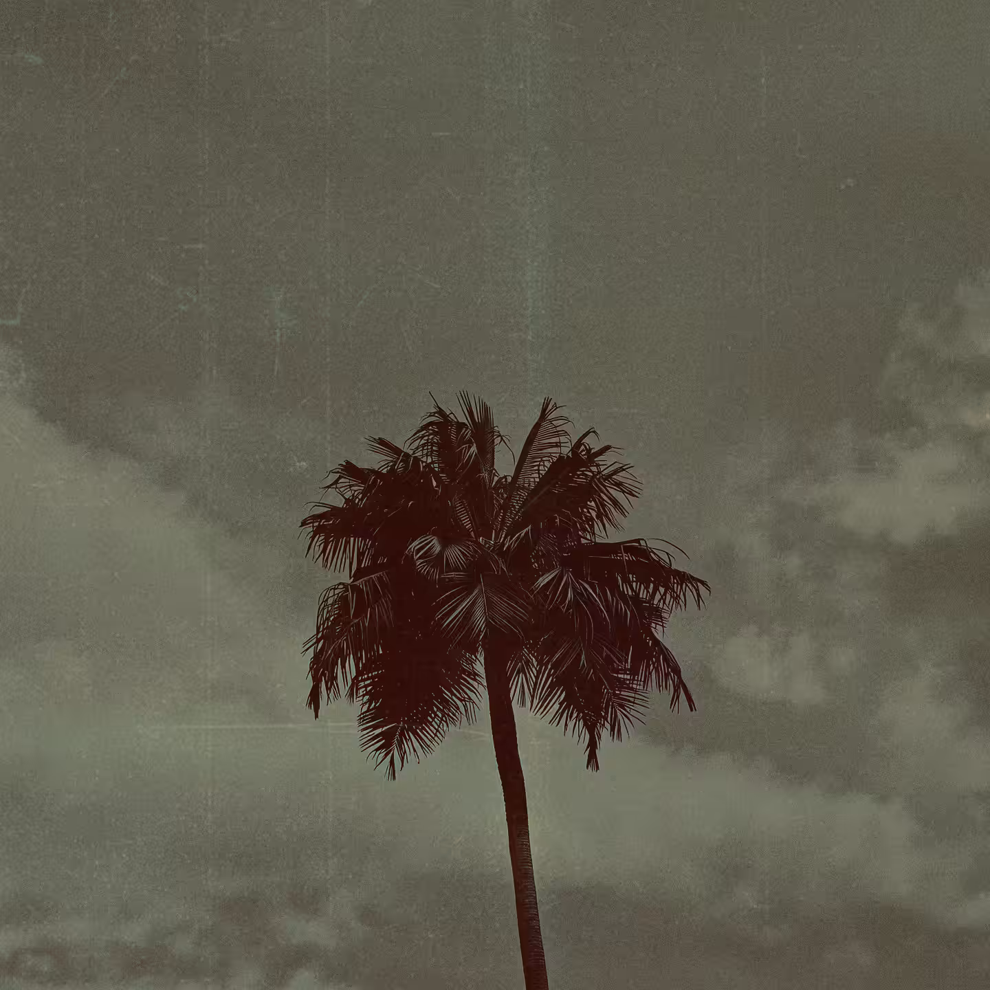 No One Left in Paradise