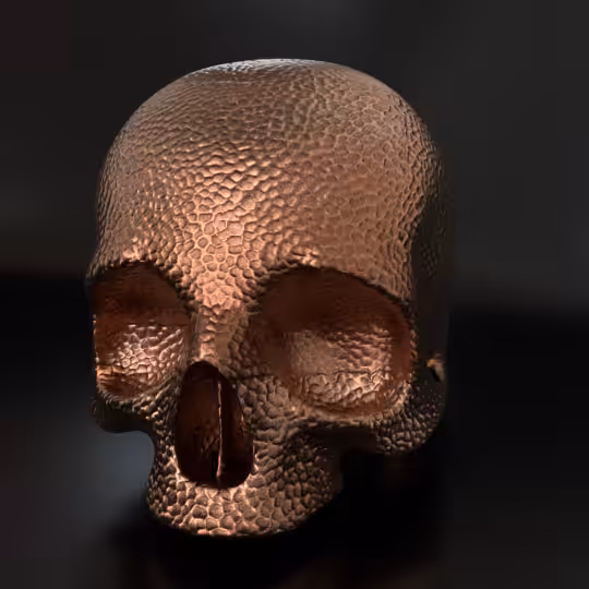 SkullZ #211