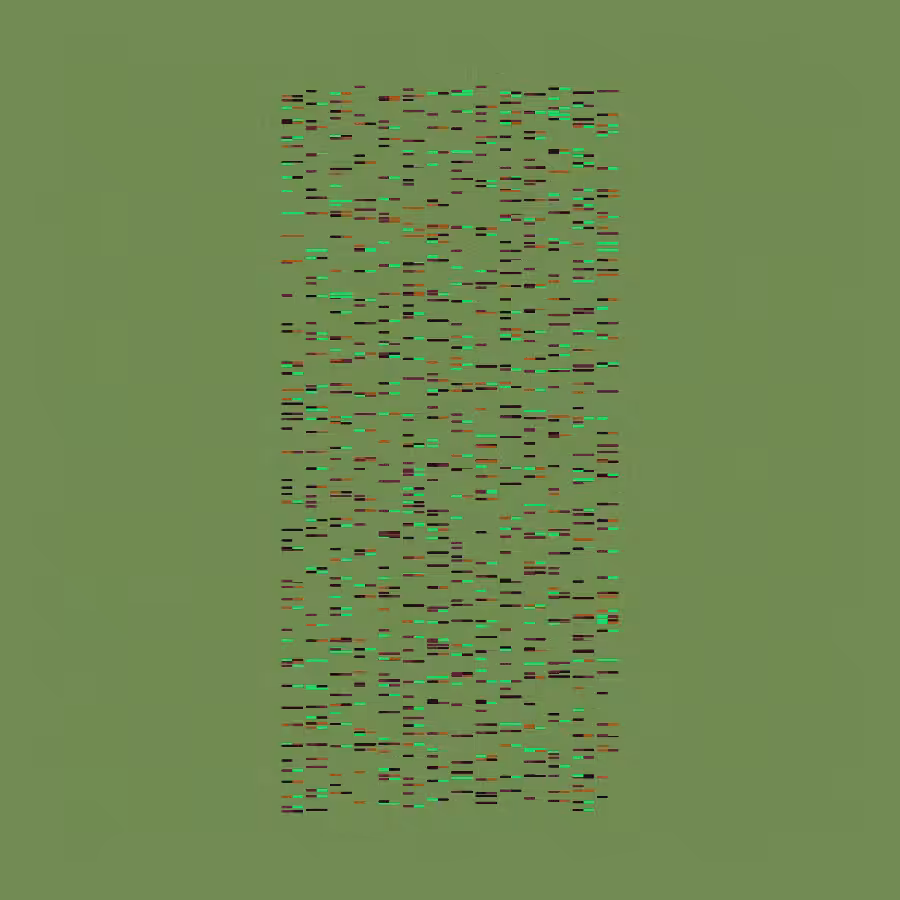Rounded #8