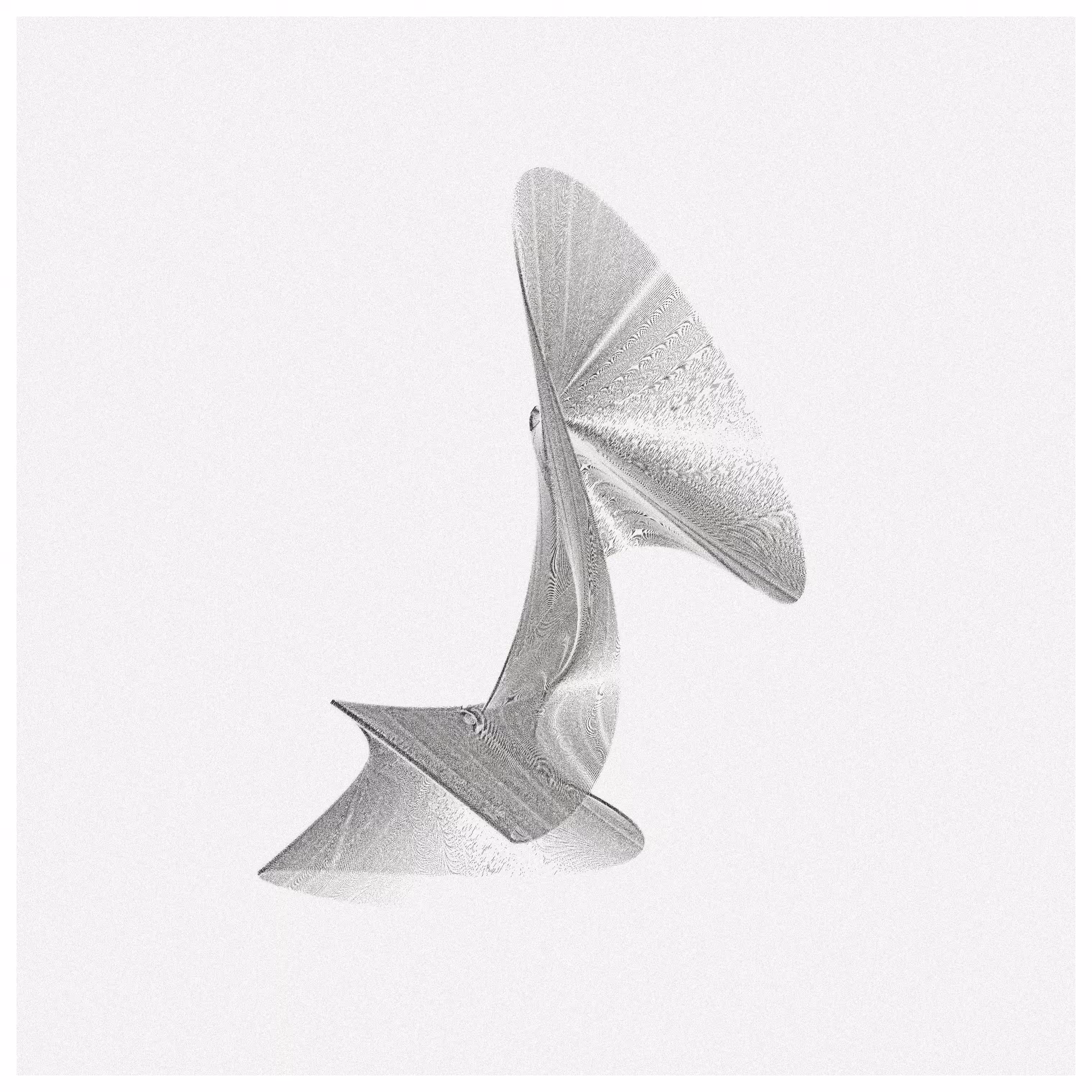 Drywaves 2 White