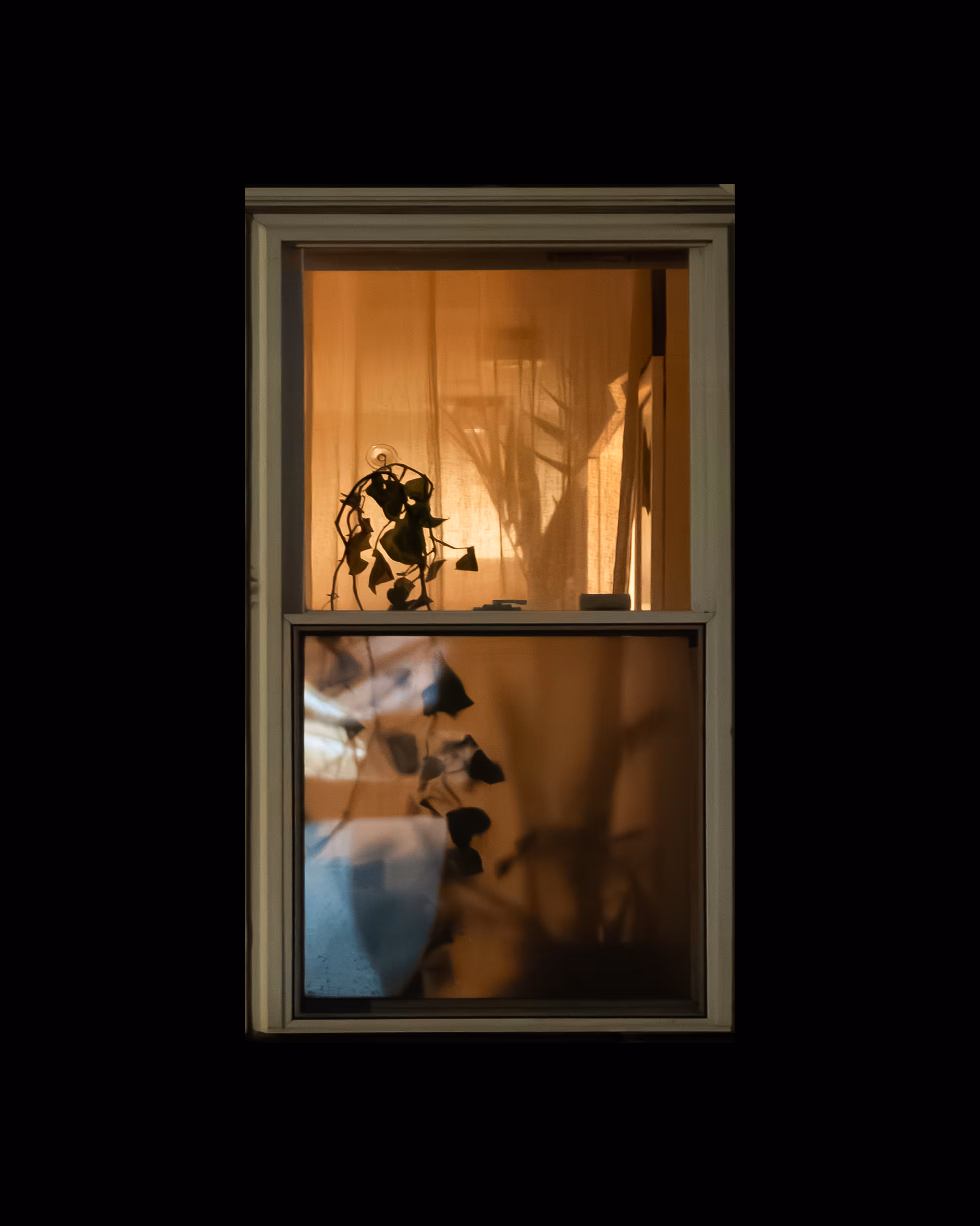 WINDOW 809