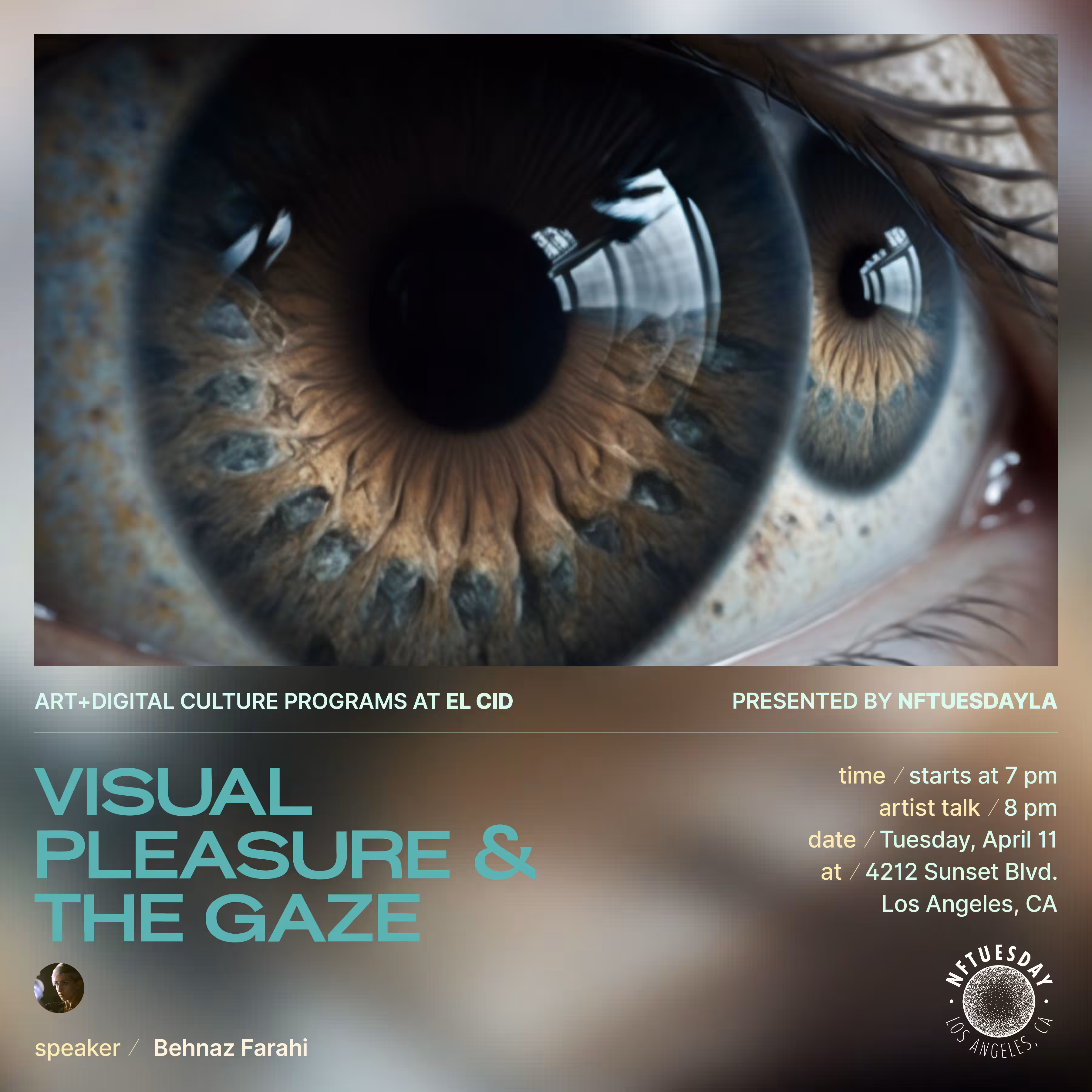 Visual Pleasure and the Gaze - Behnaz Farahi (PF12)