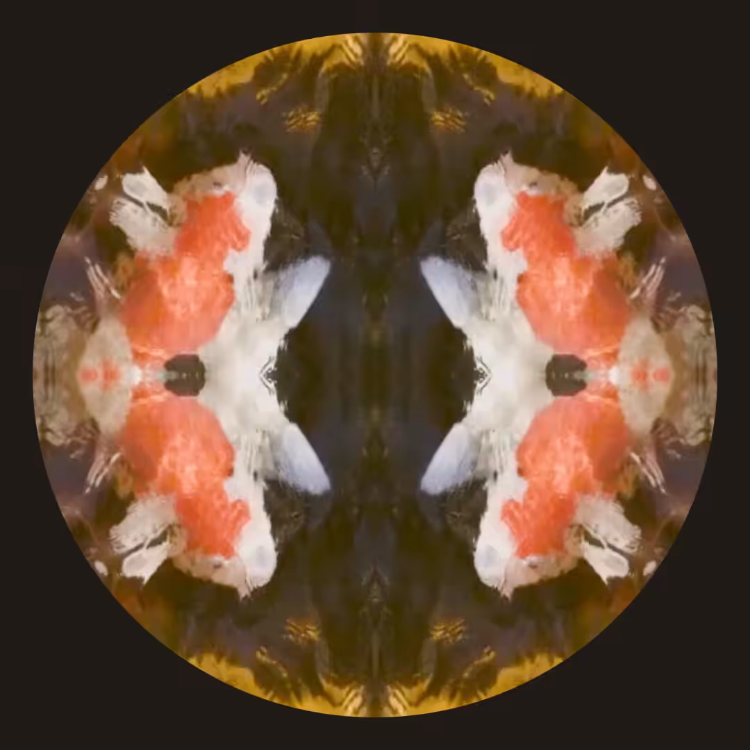 Oseibo 0002