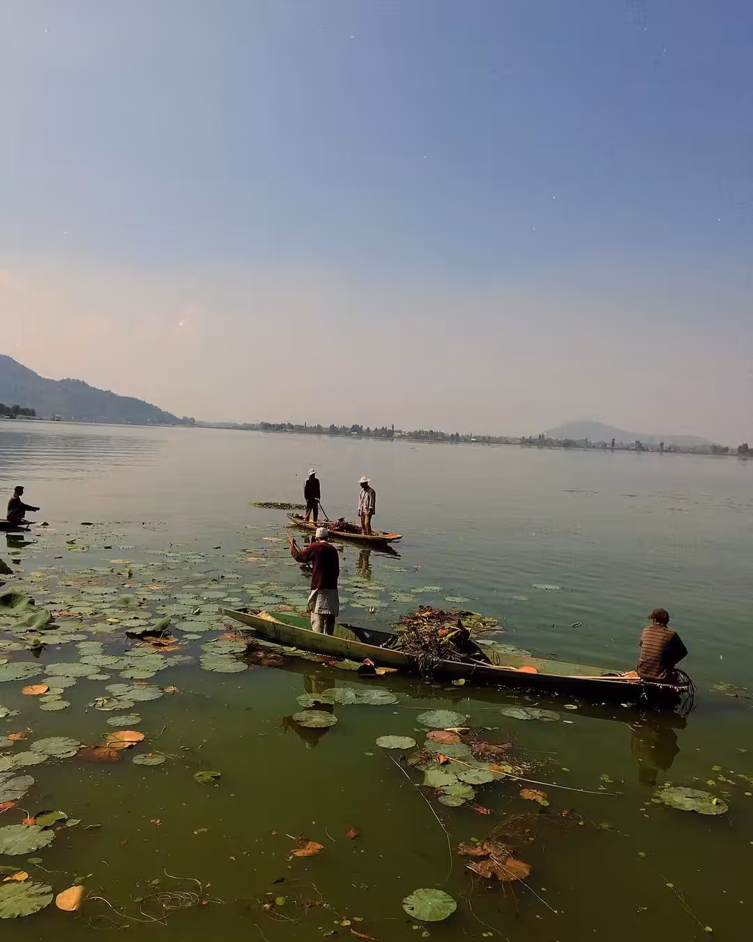 The Boatman's Reverie