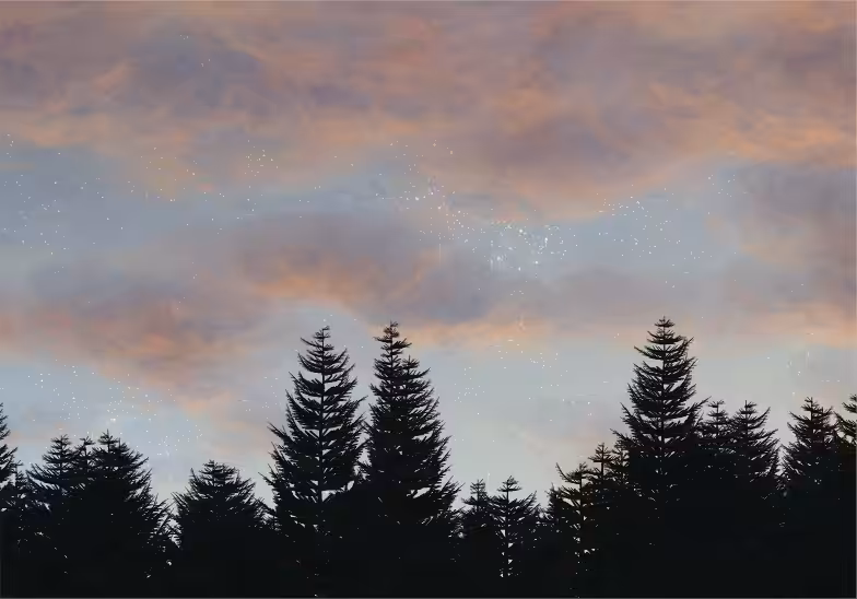 Skyscapes #94