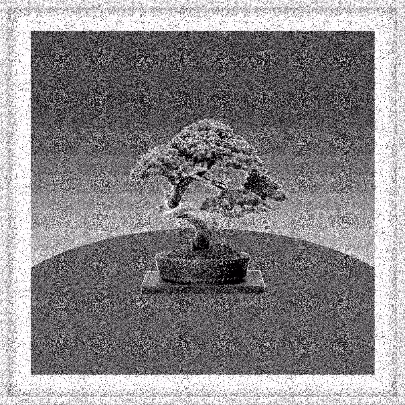Bonsai Bonanza #752