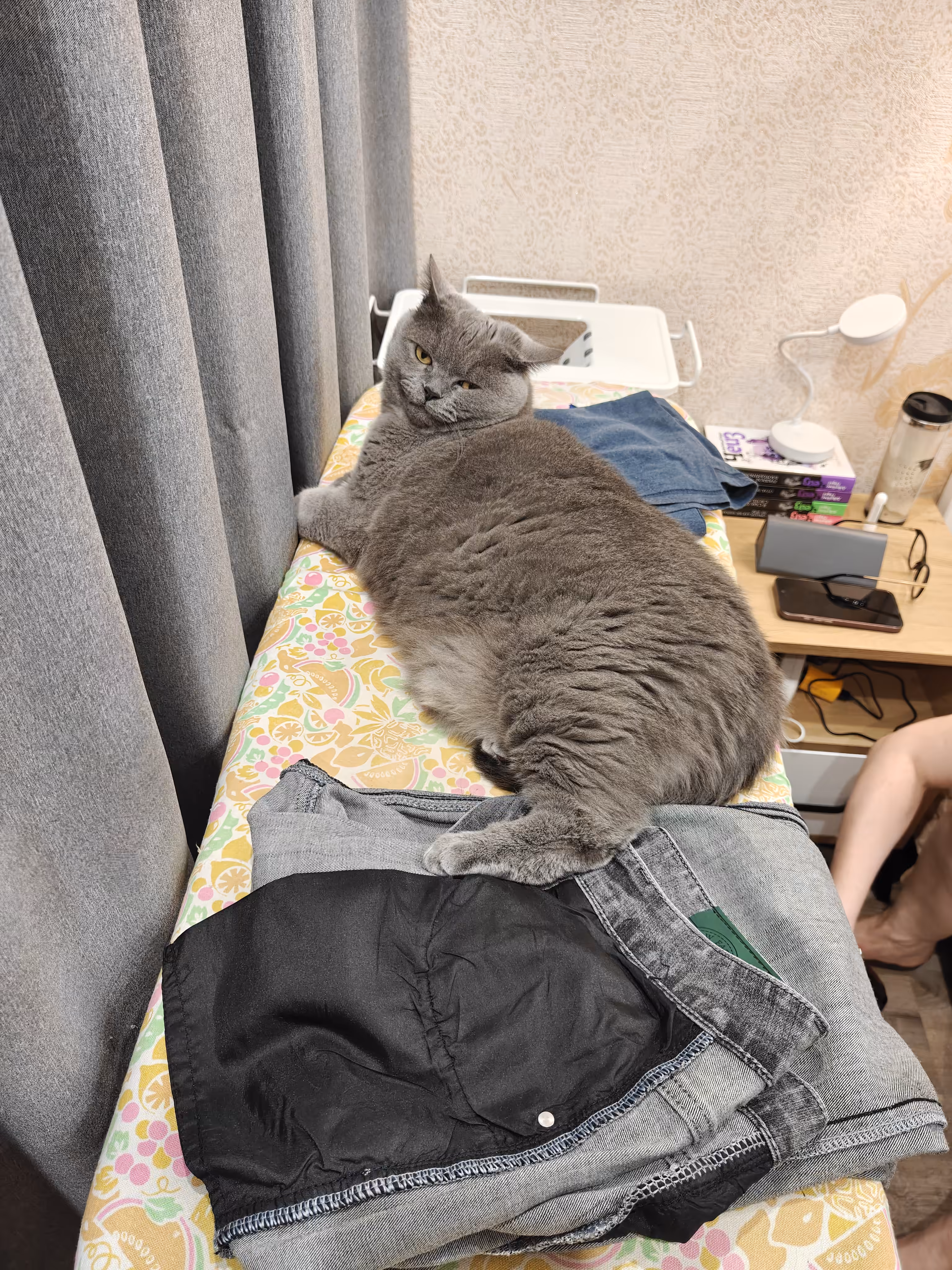 Whose clothes should I iron?!