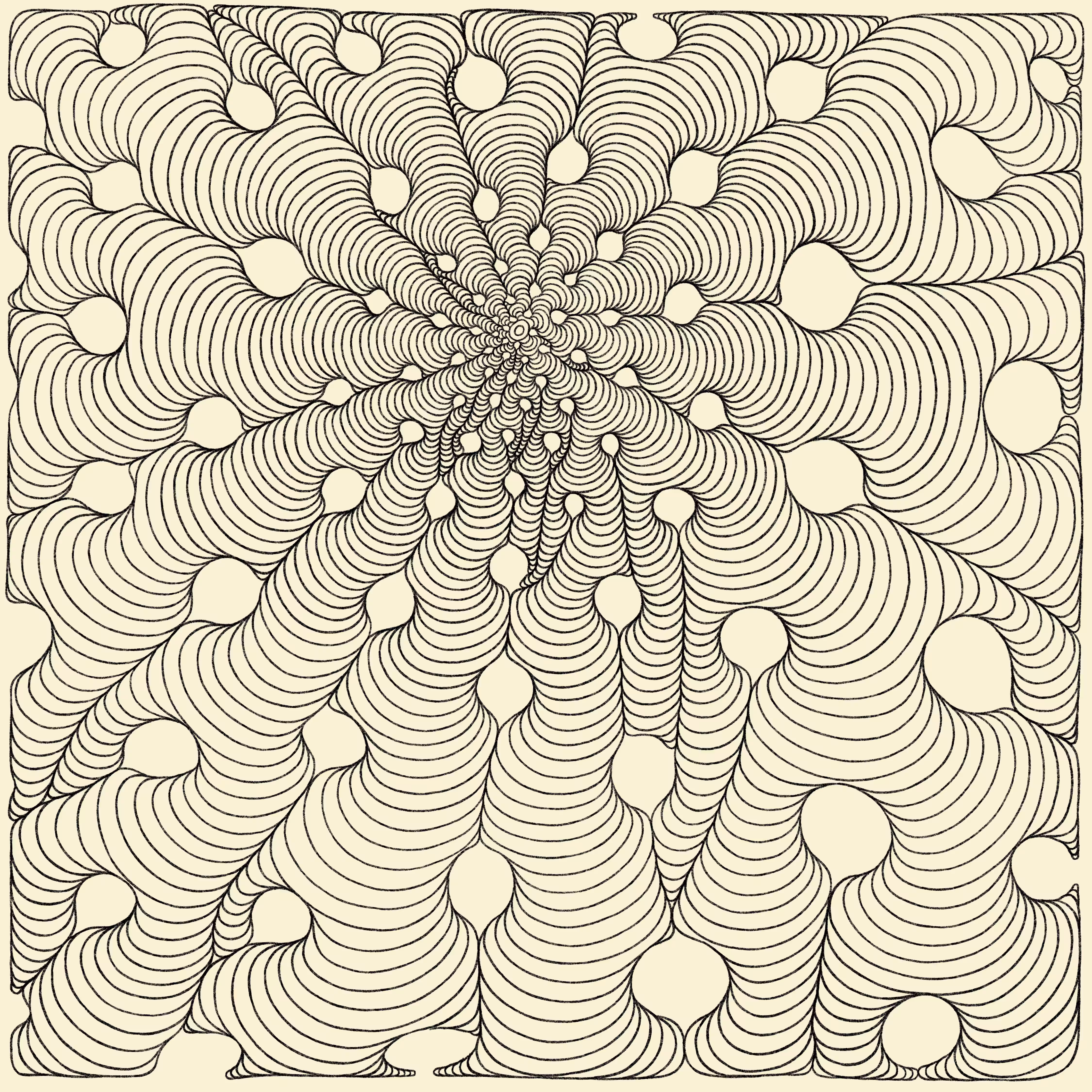 Fields: Field 21