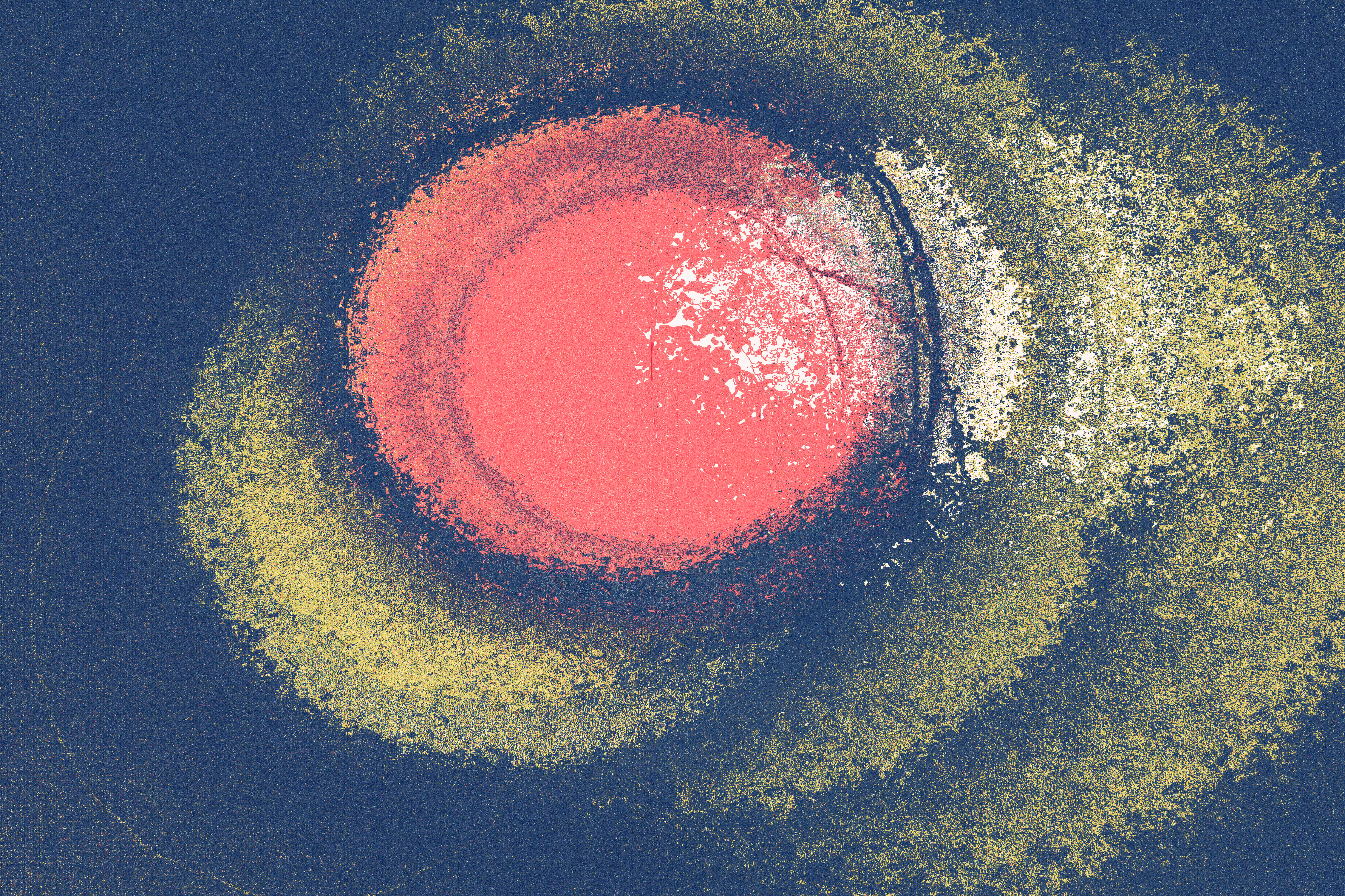 MATTER & DATA