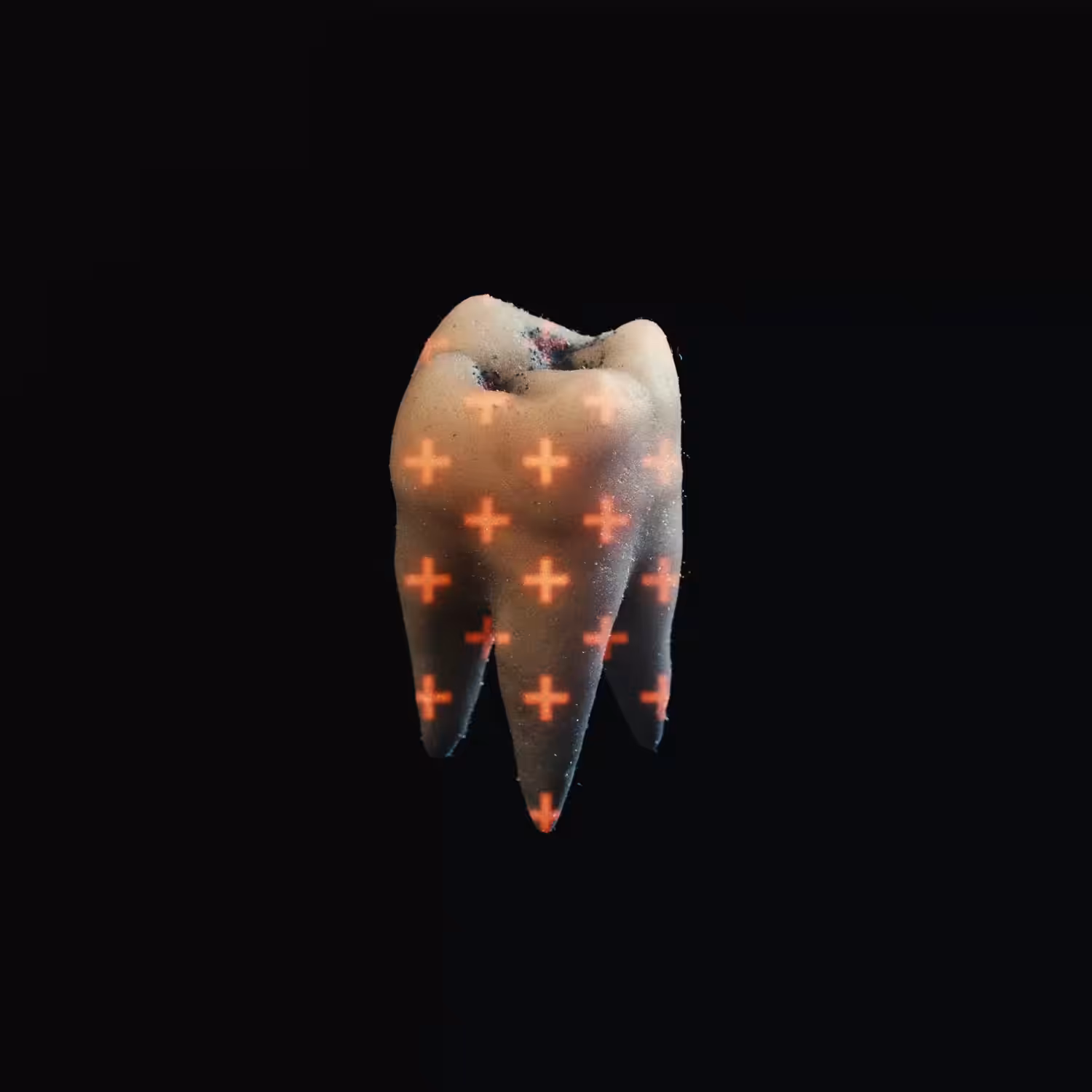 A TOOTH IS A CROWN INVERTED