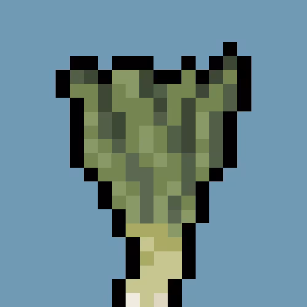 LeekPunk#0001