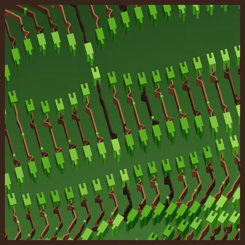 Neural Collapse #211