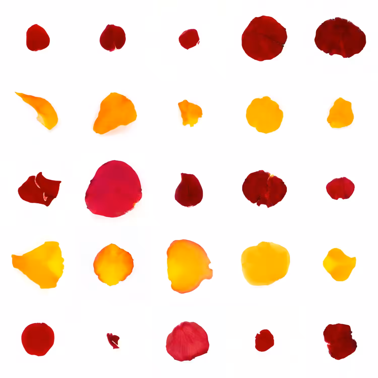 Infinite Petals 5x5#20252