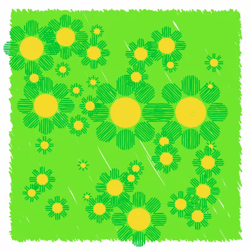wildflower #47