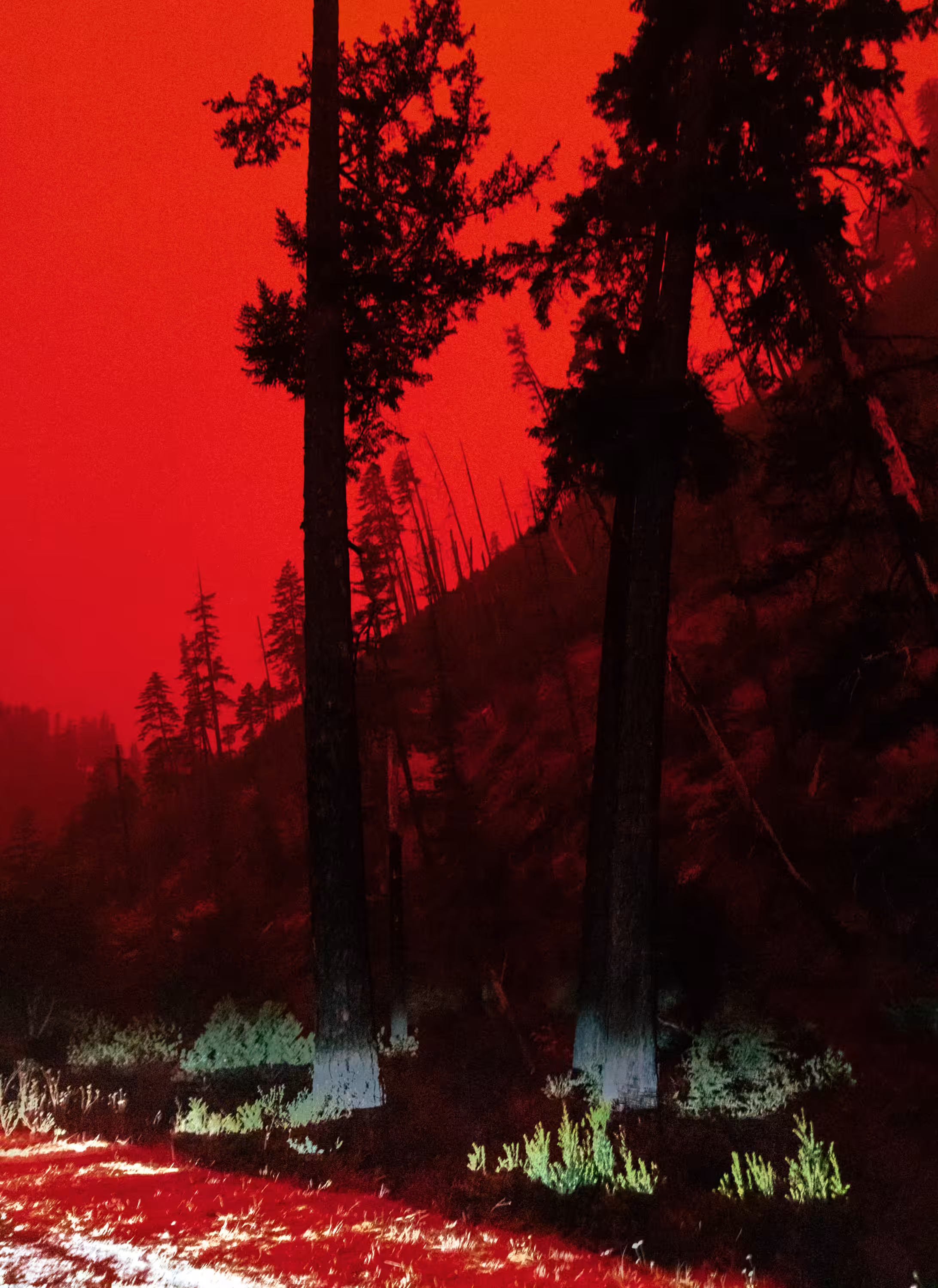 Gasquet, California