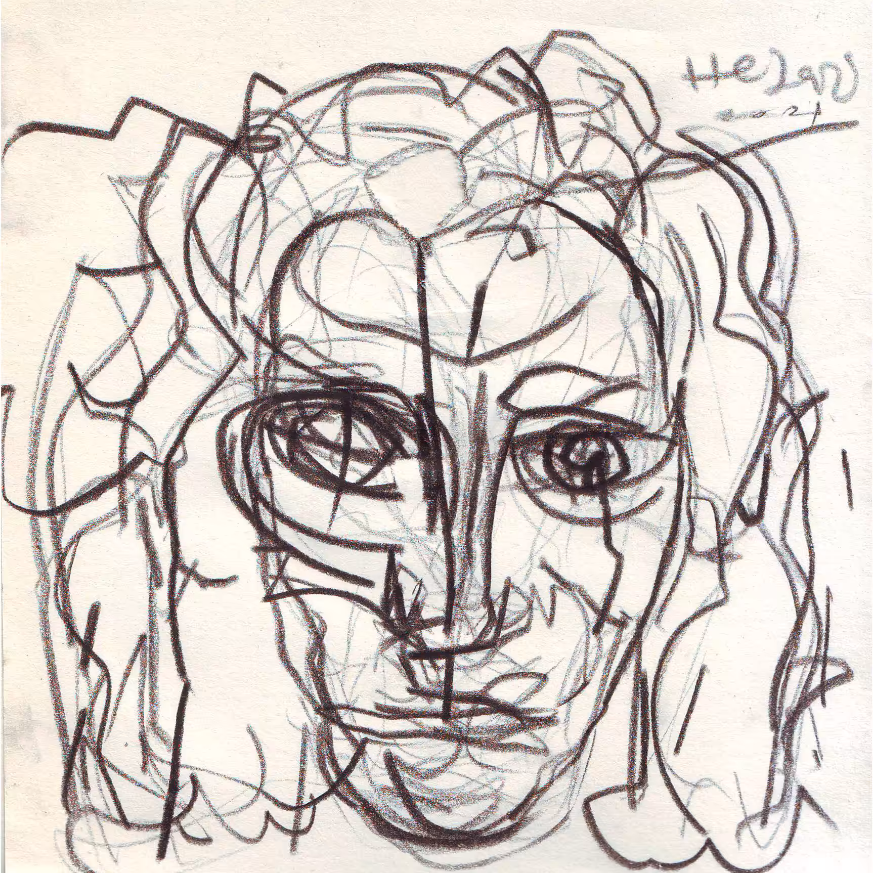 the face