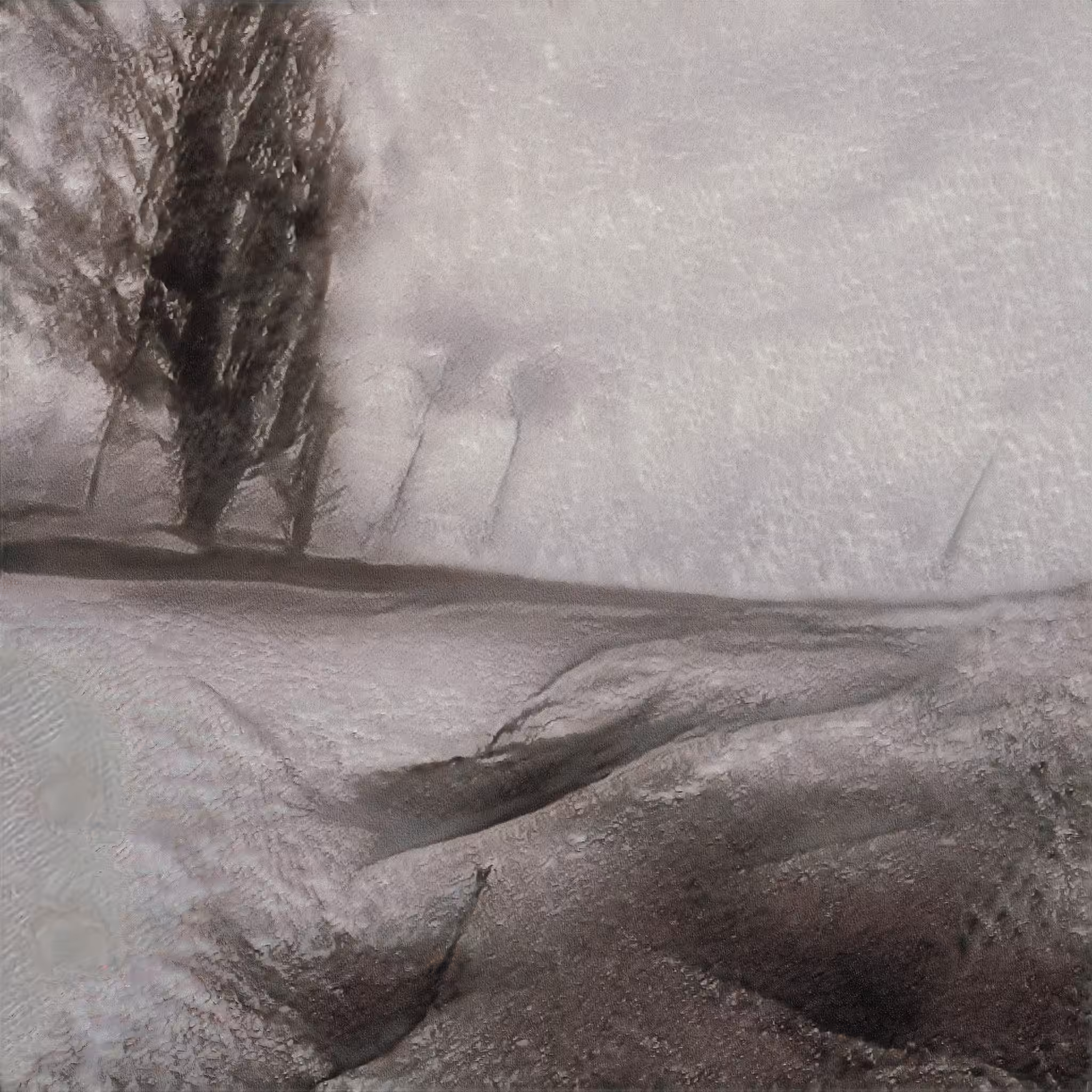 Snow Drift Kitten Brigade 