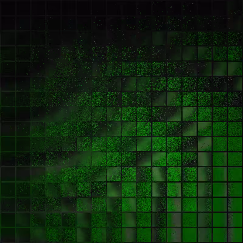 Boundary Conditions #69