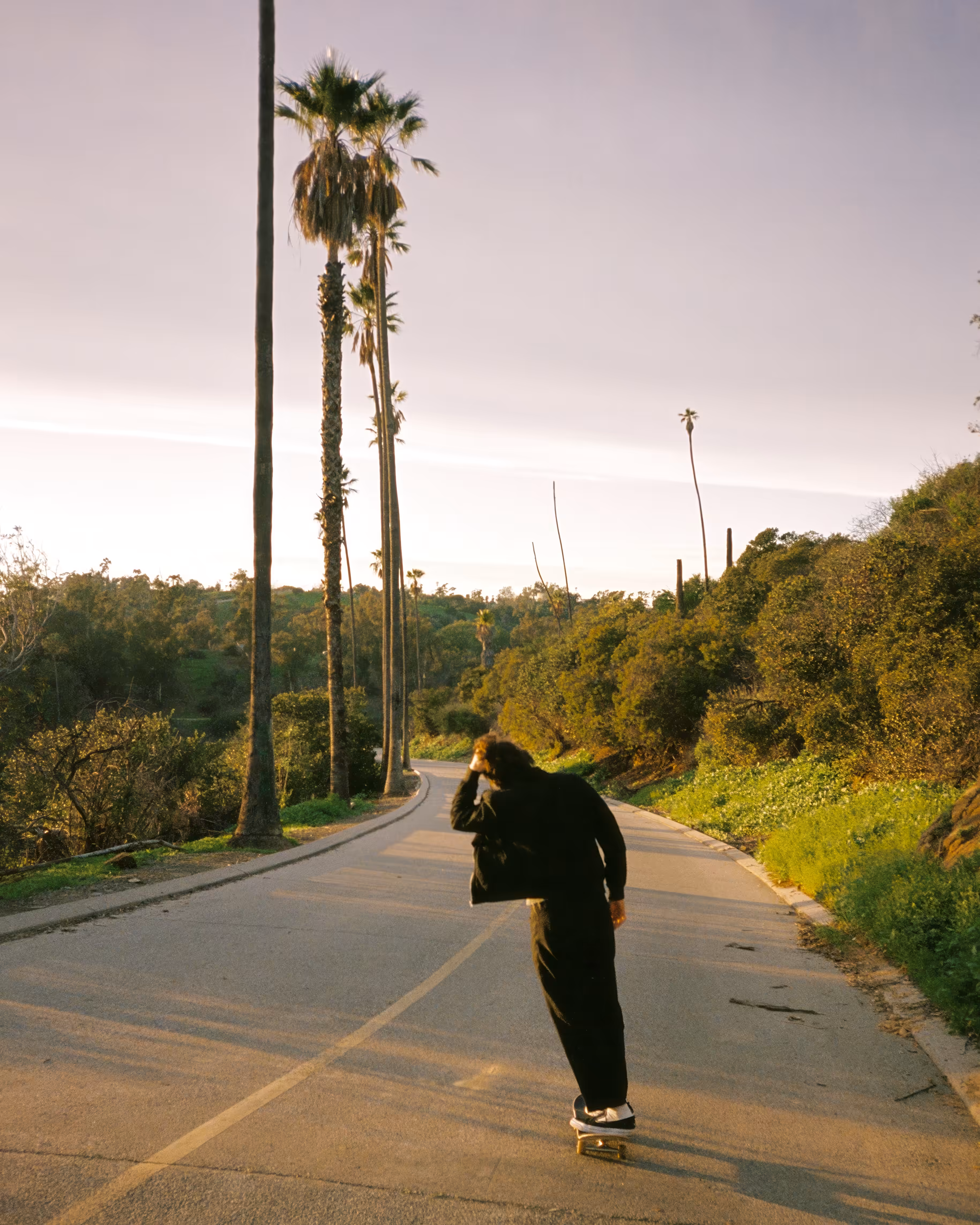Before the Light Fades