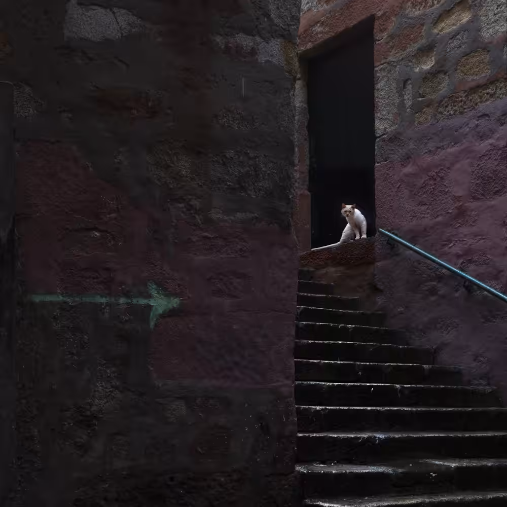 The Gatekeeper #1