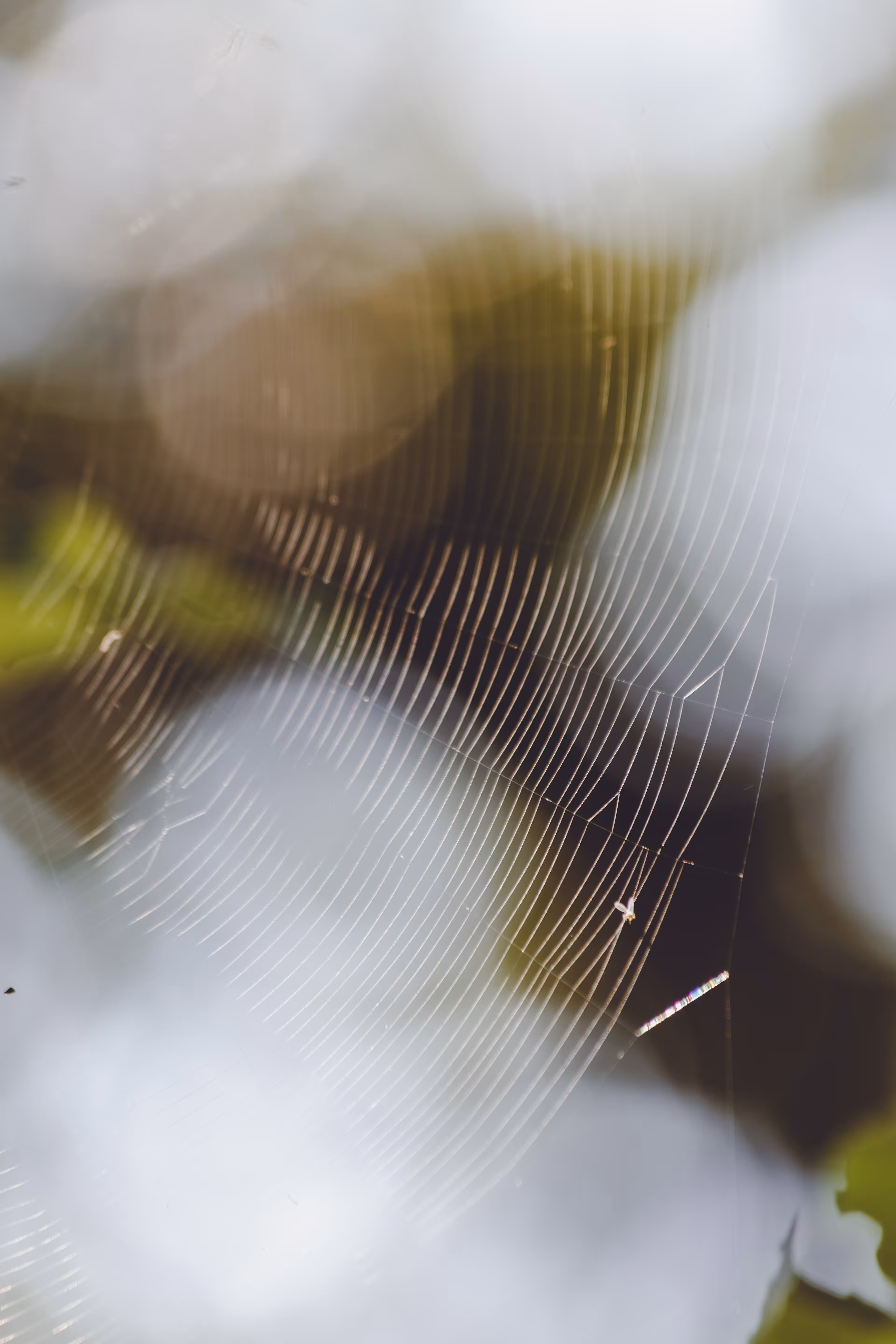 Silent Connections