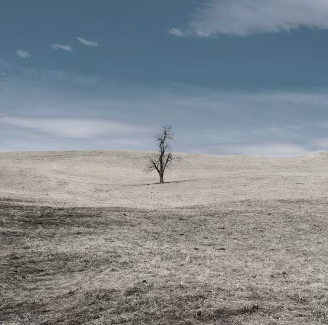 Lone tree mirage