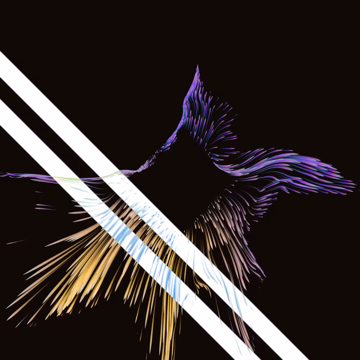 Vortex #641
