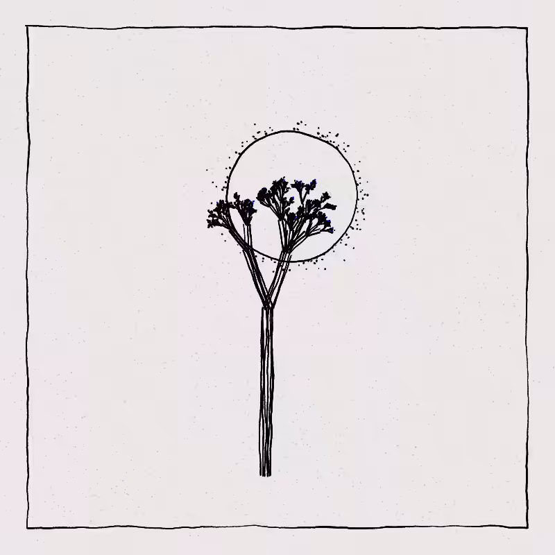 Hand-Drawn Tree #53
