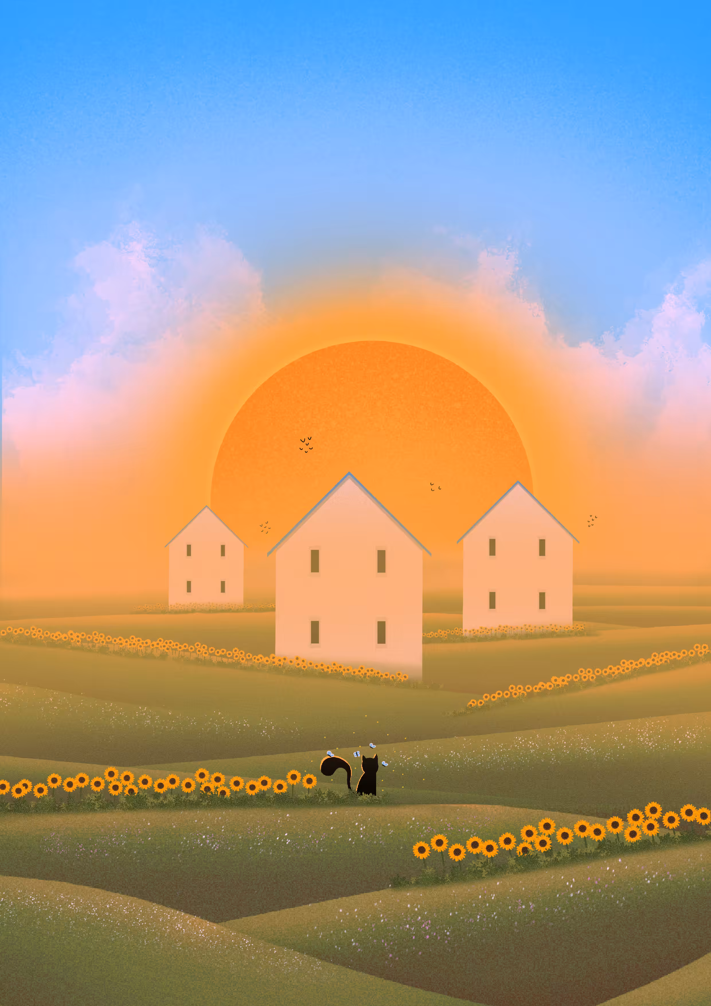 Sunflowers Land