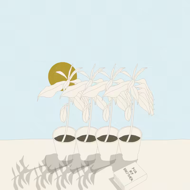 Still Life #12 #1