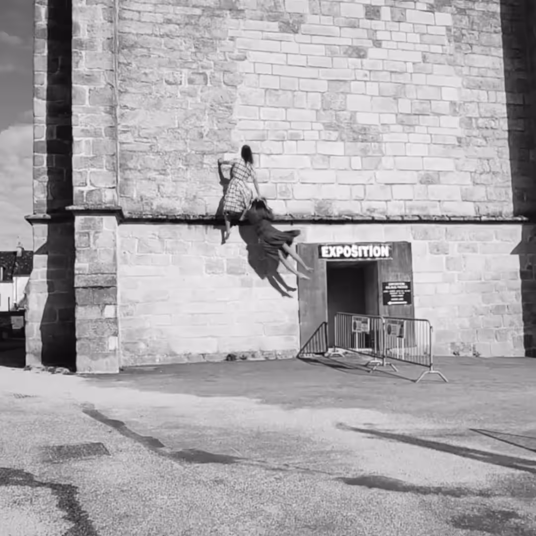 Wallcrawler